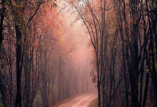 金年会体育官方网站:西漢姆與曼聯接近達成協議 國米有意插手萬-比薩卡交易.