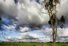 德國隊史出場榜:馬特烏斯150場第一,克羅斯108場升至第八.